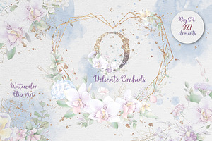 Watercolor flowers Orchids clipart