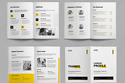 Company Profile Template, a Brochure Template by ContestDesign (Thumbnail 3 of 3)