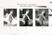 Halftone Floral Backgrounds, a Background Graphic by Natali Batu (Thumbnail 6 of 8)