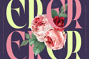 Goodness Sacred Modern Serif Font, a Serif Font by timelesstype.co (Thumbnail 6 of 20)