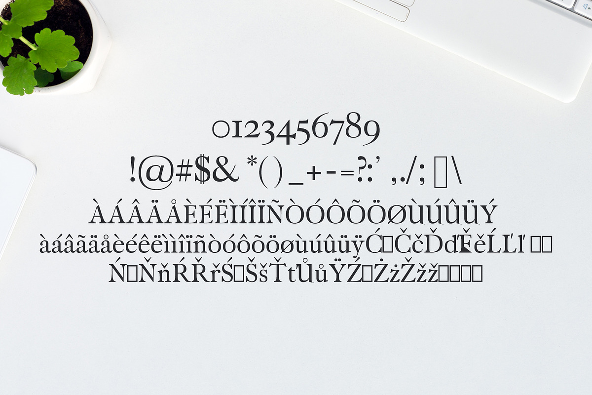 Carita Clean Serif 3 Font Family preview 3