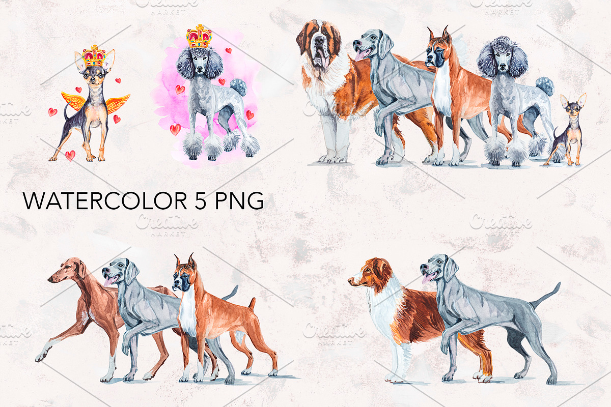 Dogs watercolor collection., an Animal Illustration by lilisavelieva (Photo 3 of 3)