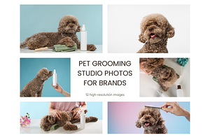 Pet Grooming Studio Photos for Brand