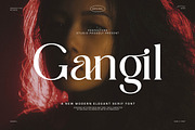 Gangil Modern Serif Font, a Serif Font by Perfectype (Thumbnail 1 of 8)