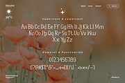Rosemary - A Classy Serif Font, a Serif Font by overlaytemplates (Thumbnail 4 of 5)