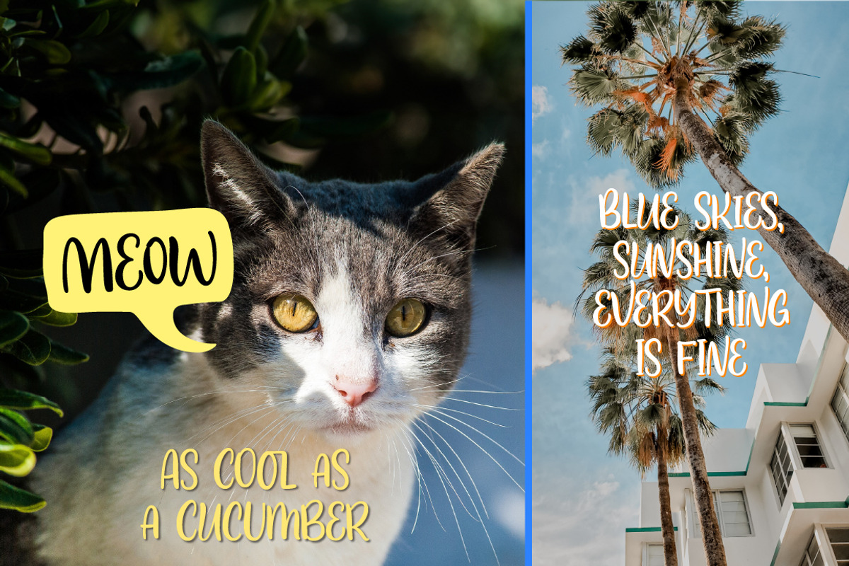 Surf House Handwritten font, a Font by Type Tale (Photo 9 of 10)