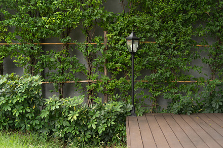Outdoor tall lamp post lantern with empty space and green bush p, a Background Photo by Tampatra
