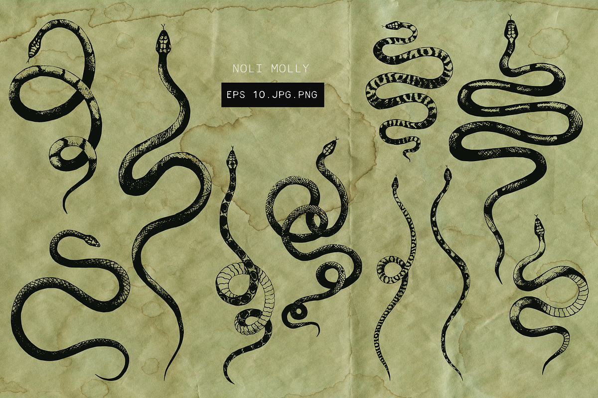 Snakes vector set, a Graphic by Noli Molly Store (Photo 2 of 5)