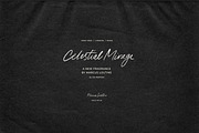 Pink Champagne Script, a Handwritten Font by Nicky Laatz (Thumbnail 16 of 21)