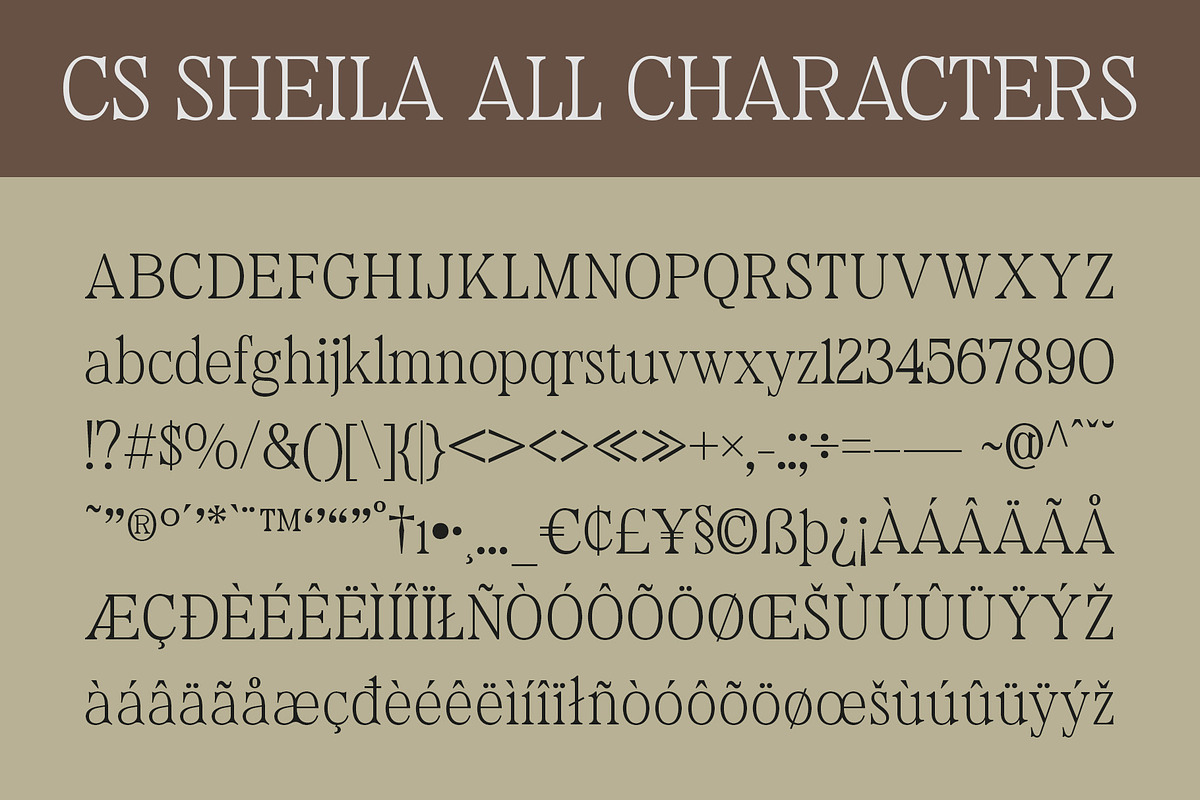 CS Sheila – Classic Font, a Serif Font by Craft Supply Co. (Photo 8 of 8)