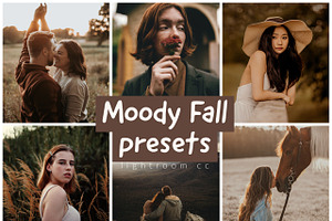 Autumn Presets For Desktop Lightroom