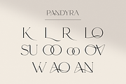 Pandyra - Delicate Luxury Serif, a Serif Font by HipFonts (Thumbnail 2 of 12)