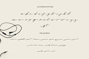 Anaheim script pro font ( update ), a Script Font by Emyself Design (Thumbnail 7 of 12)