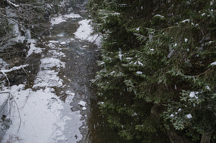 Winter scenery with snowfall and mountain stream running through, a Nature Photo by YuriyB