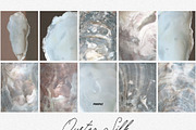 Oyster Silk | Shell Textures, a Background Graphic by Purple (Thumbnail 4 of 8)