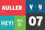 Morl Font, a Sans Serif Font by Typesketchbook Foundry (Thumbnail 6 of 12)