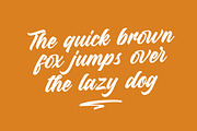 Dirtylane - Bold Script, a Script Font by ErgibiStudio (Thumbnail 11 of 11)