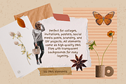 Autumn Collage Kit - Cozy Fall, an Object Graphic by JulsIst (Thumbnail 4 of 8)