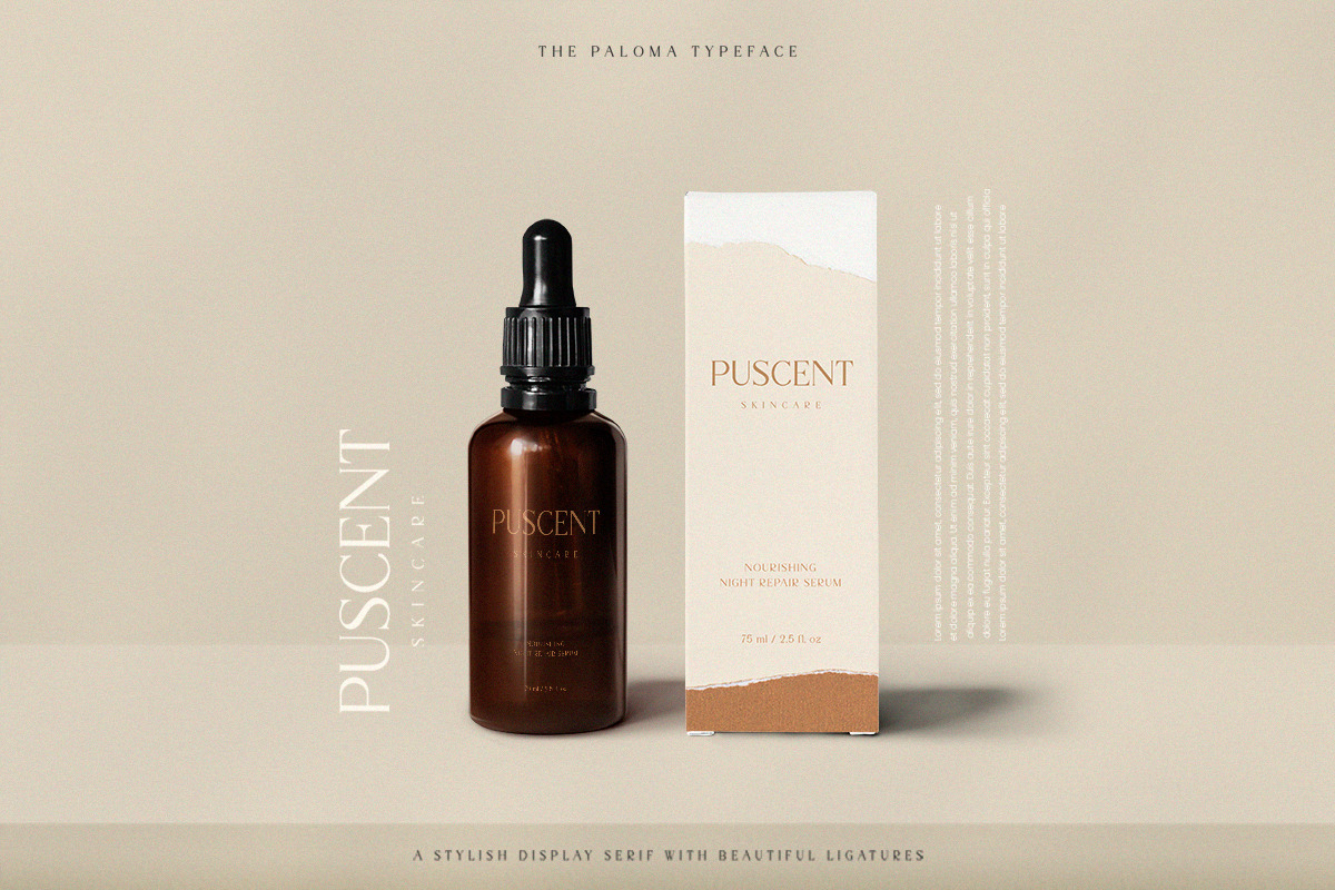 The Paloma - Modern Serif Font, a Serif Font by TypeFounder (Photo 3 of 10)