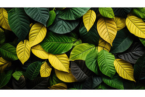 nature leaf summer background ai, a Nature Photo by pikepicture