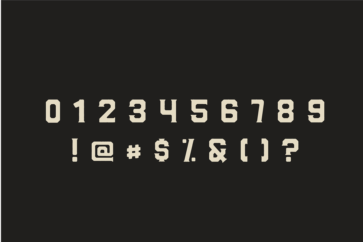 DROVER by Ocotillo Design Studio, a Serif Font by Ocotillo Design Studio (Photo 3 of 7)