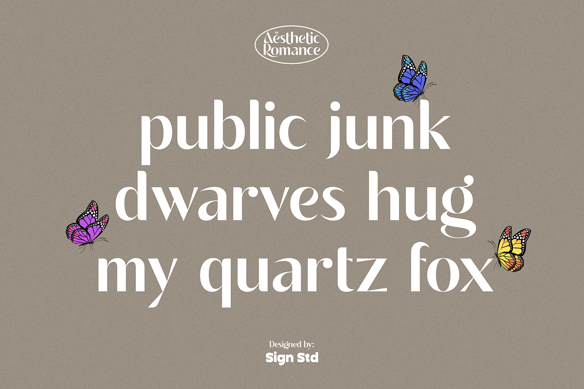 Aesthetic Romance, a Sans Serif Font by Sign Studio (Photo 13 of 16)