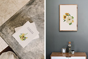 Garden aesthetics collection, a Food Illustration by Diana Askarova Art (Thumbnail 9 of 15)