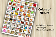 Collage Sheet - Colors of Nature, a Print Template by Kseniya-Omega (Thumbnail 2 of 3)