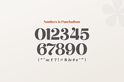 michael - beauty ligature font, a Sans Serif Font by Sensatype (Thumbnail 13 of 17)