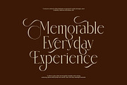 Amelin Elegant Serif Font, a Serif Font by Graphicxell (Thumbnail 5 of 8)