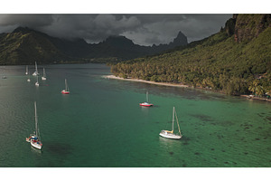 Sailboats anchoring in Opunohu bay, a Transportation Photo by Goinyk