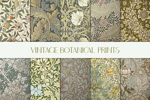 Vintage Botanical Print Collection