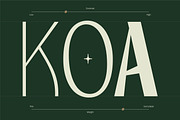 TBJ Orcherum Unique Ligatures Sans, a Font by Taboja Studio (Thumbnail 11 of 21)