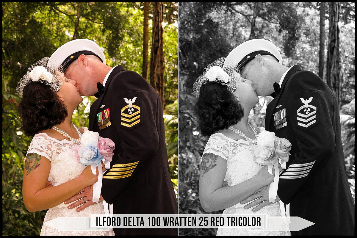 Ilford Films LUTs, a Plug-in Add-On by Raztrend (Photo 3 of 30)