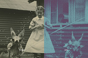 Bitmap Screen Effect, a Texture Graphic by B/B STUDIO (Thumbnail 5 of 11)