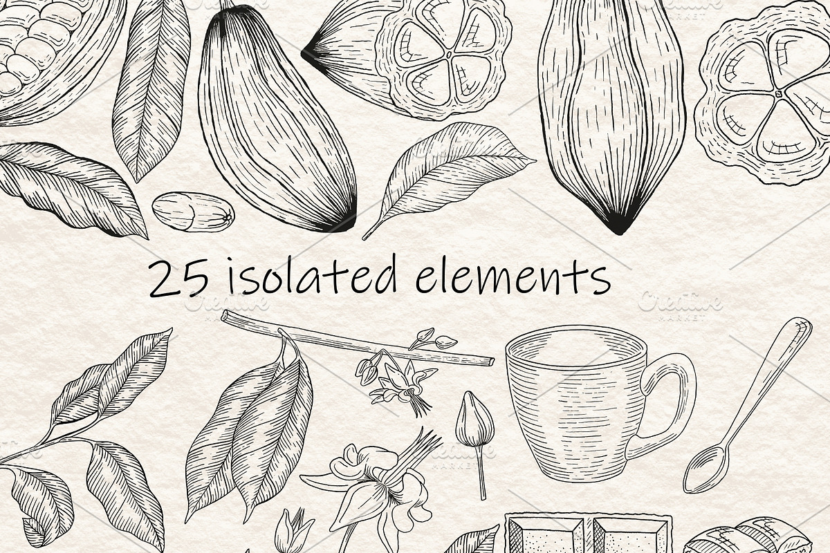 Cocoa Beans Vector illustration, a Food Illustration by Milla_Zelenyuk_art (Photo 2 of 5)