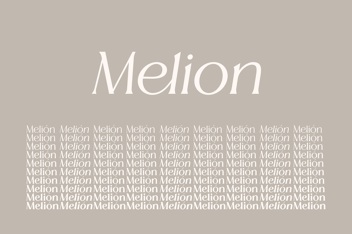 Melion, a Serif Font by OWL KING (Photo 6 of 13)