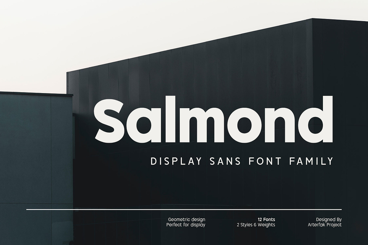 Salmond - Font Family, a Sans Serif Font by Arterfak Project (Photo 1 of 13)