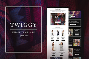 Twiggy E-Newsletter Builder Access