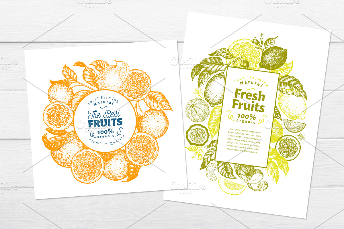 Citrus Vector  Collection, a Food Illustration by Lubov Illustrations Shop (Photo 3 of 5)