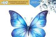 Watercolor Blue butterflies clipart, a Decorative Illustration by VM PARTYS  BY TAIRUMA (Thumbnail 2 of 8)