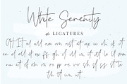 White Serenity Signature Font, a Script Font by Renata Chizhikova (Thumbnail 12 of 14)