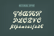 Magnetic Script Font Family, a Script Font by Mysterylab Designs (Thumbnail 6 of 8)
