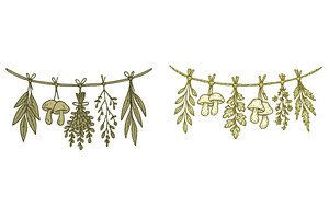 Hanging herbs and mushrooms, an Animal Photo by ZinetroN