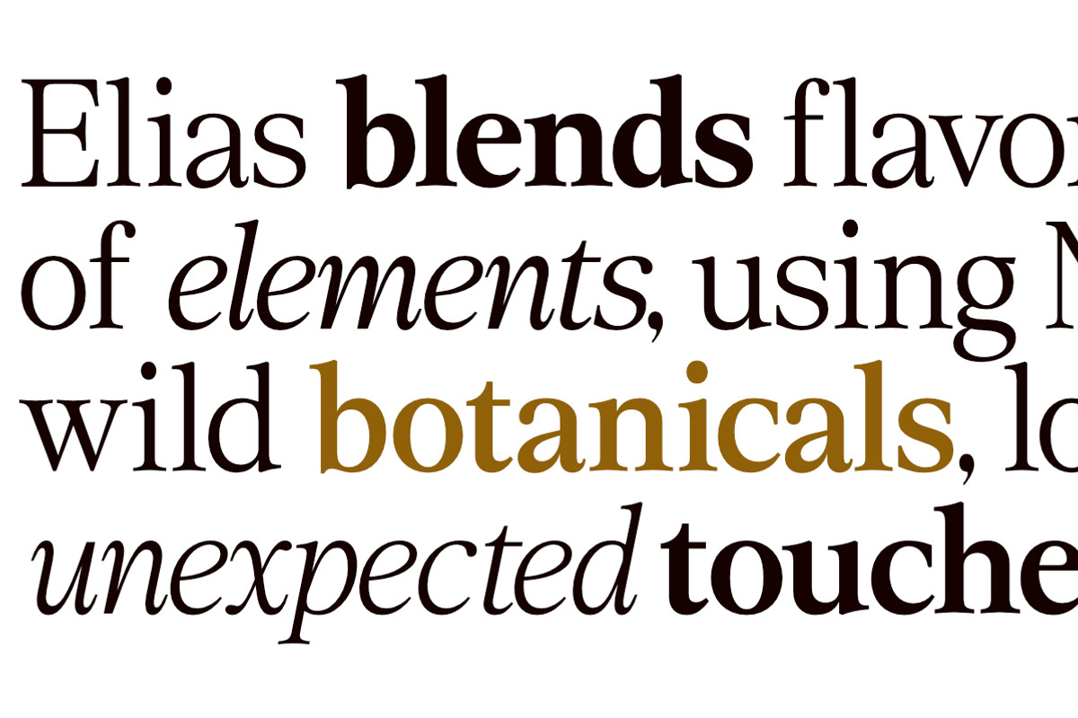 Rosemeri — MODERN EDITORIAL SERIF, a Serif Font by InkwellTypeCo (Photo 5 of 19)