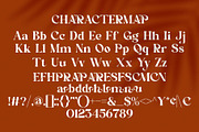 Redian || Modern Classy Serif Font, a Serif Font by Idea Studio (Thumbnail 10 of 10)