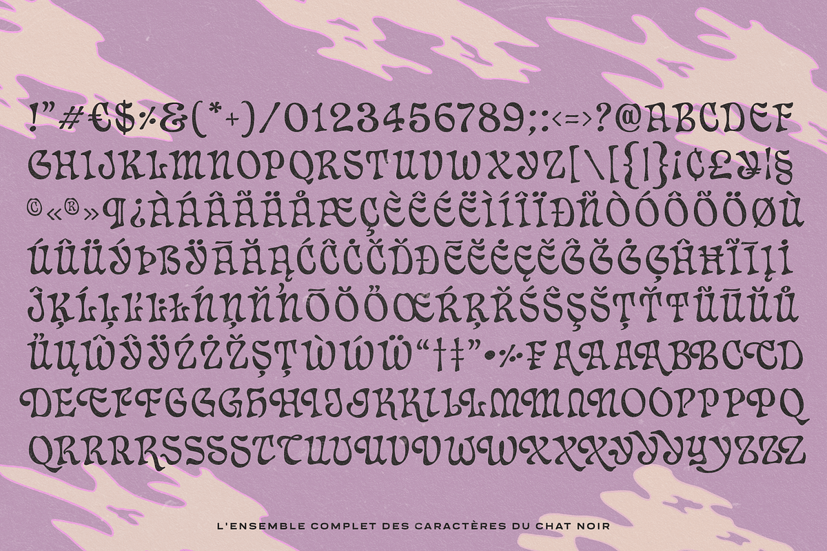 Chat Noir - Art Nouveau Font, a Serif Font by Fenotype (Photo 14 of 15)