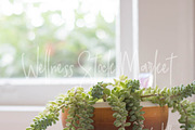 Holistic Lifestyle Bundle (Green), a Health & Medical Photo by Wellness Stock Market (Thumbnail 11 of 37)