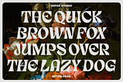 Retro Head Classy Retro Typeface, a Serif Font by 50Fox (Thumbnail 6 of 18)