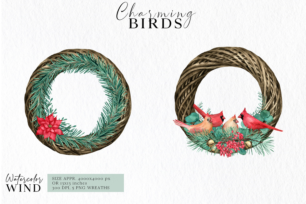Christmas Teal Clipart Cardinal Bird, an Illustration by Ksenia Shmakova (Photo 9 of 16)